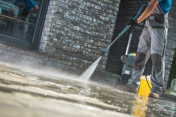 Best Driveway Pressure Washing  in Washington Terrace, UT